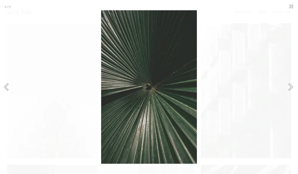 Estudio Veloz portfolio demo/look called Jane.